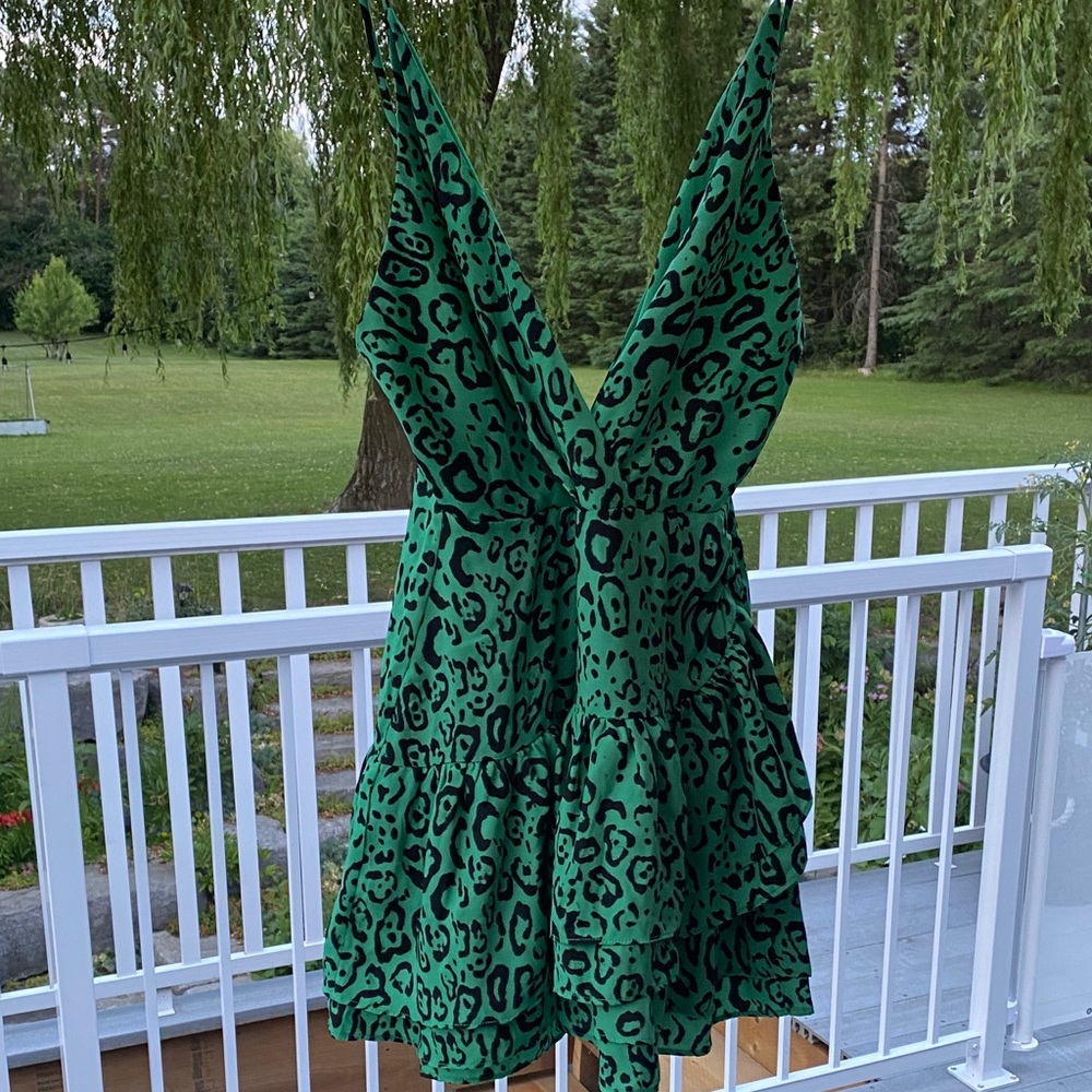 066. WAYF Green Leopard Print Dress